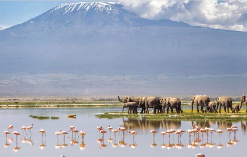 Ol Tukai Lodge Amboseli
