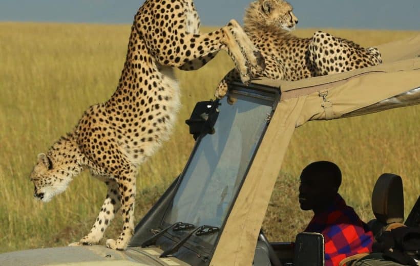 Mara Ngenche Camp