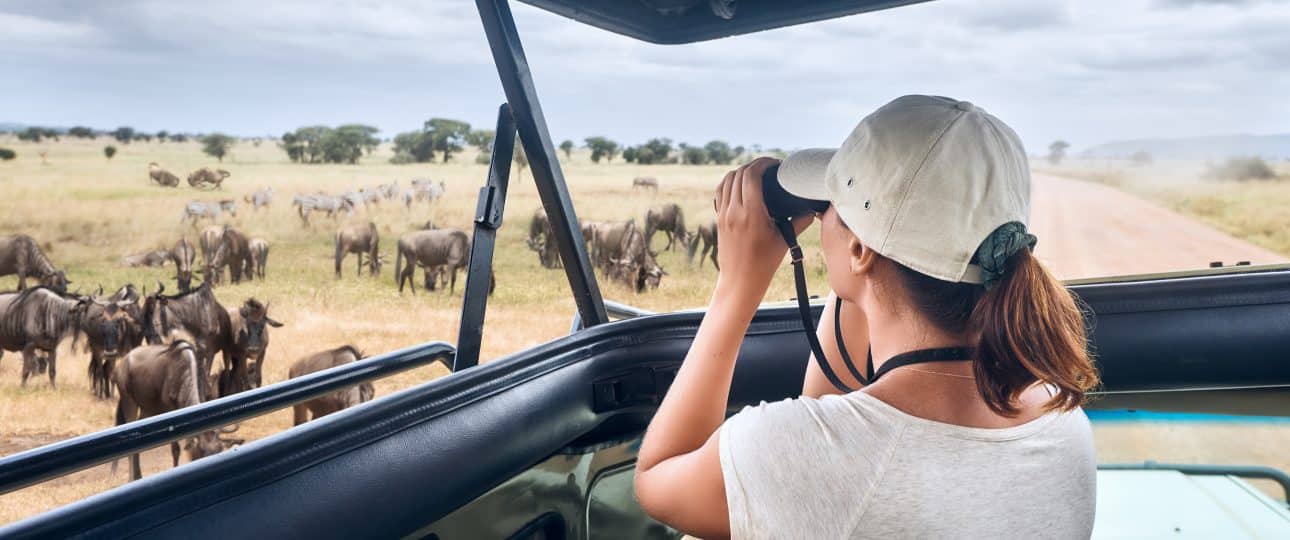 Kenya Safaris From Nairobi