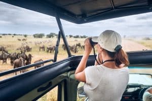 Kenya Safaris From Nairobi