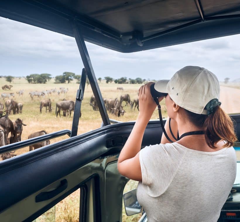 Kenya Safaris From Nairobi