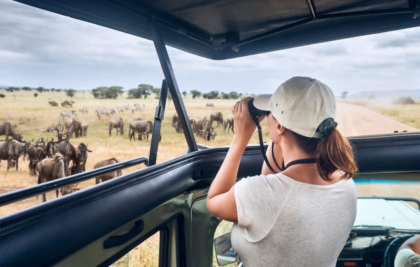 Kenya Safaris From Nairobi