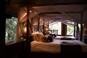 Gallery Thumbnail 4