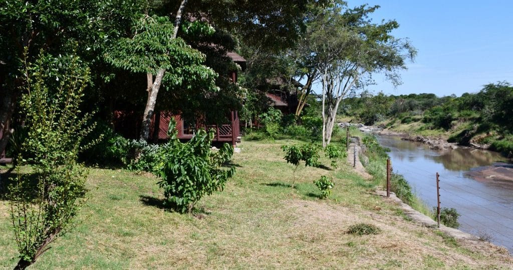 Mara Simba Lodge