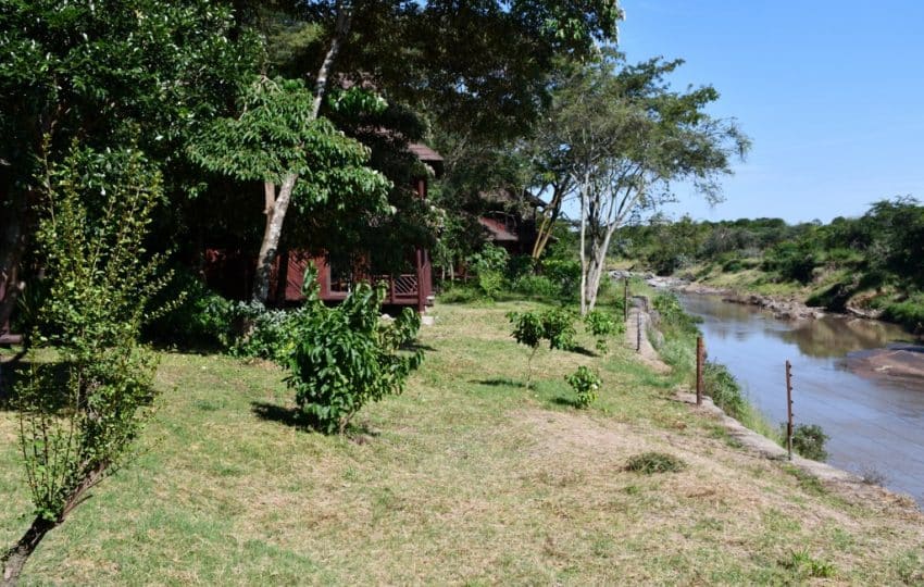 Mara Simba Lodge