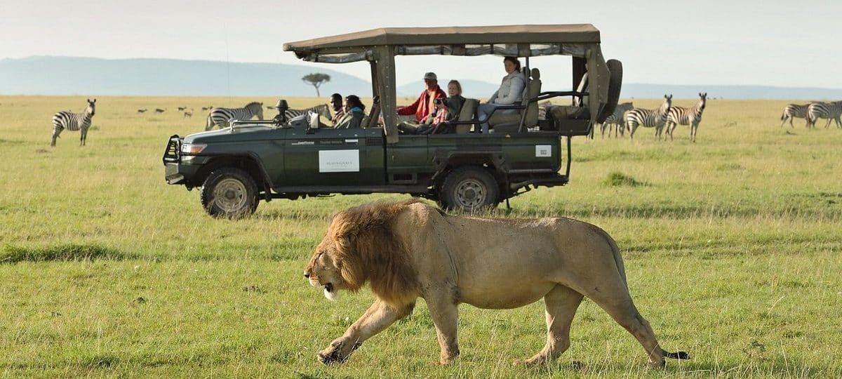 Safari in Masai Mara Kenya