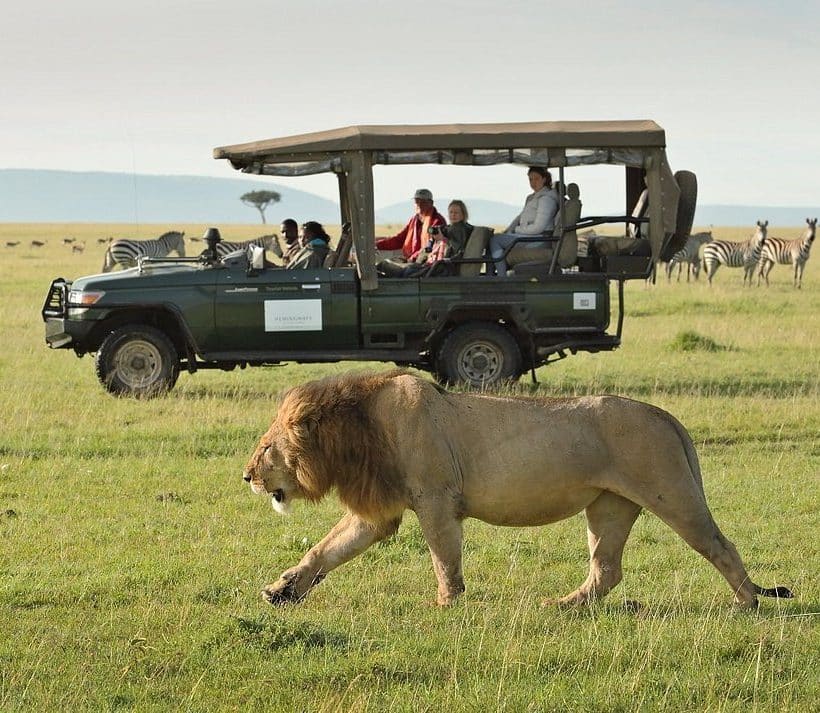 Safari in Masai Mara Kenya